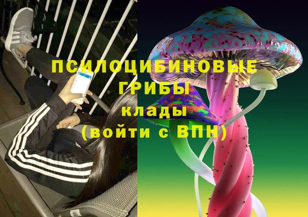 ПСИЛОЦИБИНОВЫЕ ГРИБЫ Армянск